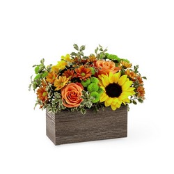 The FTD Happy Harvest Garden from Flowers by Ramon of Lawton, OK